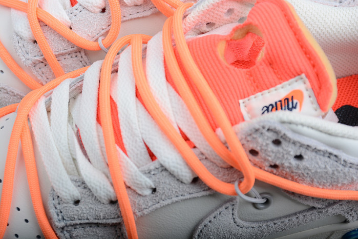 OFW X DUNK LOW 