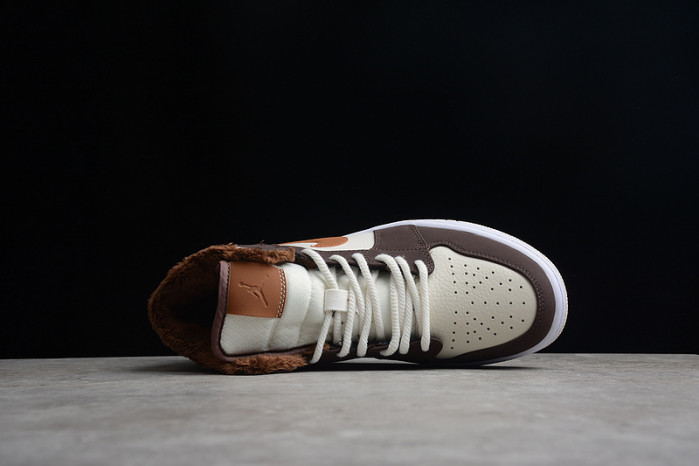 Air Jordan 1 Mid DO6699-200