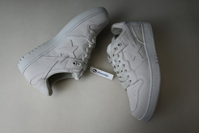 BAPE Shoe
